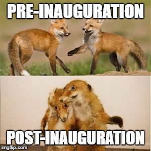 Democrats - The stuff nightmares are made of | PRE-INAUGURATION; POST-INAUGURATION | image tagged in party fox,election 2016,donald trump,democrats,republicans,lions | made w/ Imgflip meme maker