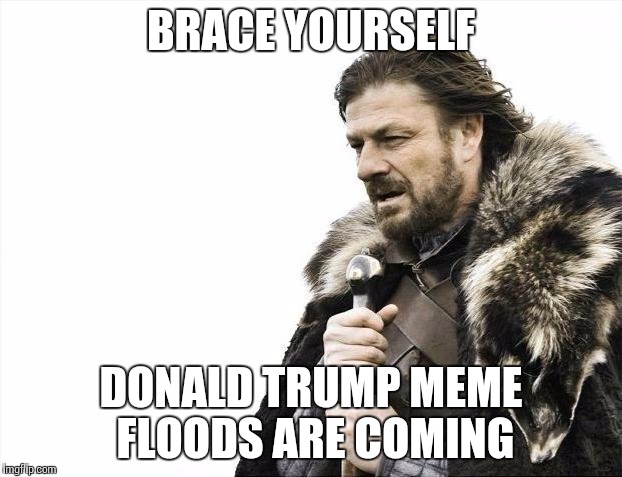 Trump Meme Floods | BRACE YOURSELF; DONALD TRUMP MEME FLOODS ARE COMING | image tagged in memes,brace yourselves x is coming | made w/ Imgflip meme maker