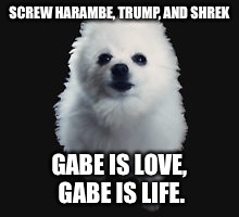 Bork on you Doggo you. |  SCREW HARAMBE, TRUMP, AND SHREK; GABE IS LOVE, GABE IS LIFE. | image tagged in gabe the dog,bip gabe,bork in peace,rest in spaghetti never forgetti,bork,doggo | made w/ Imgflip meme maker