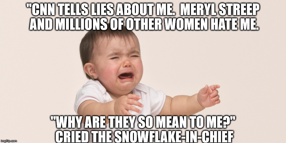snowflake-in-chief | "CNN TELLS LIES ABOUT ME.  MERYL STREEP AND MILLIONS OF OTHER WOMEN HATE ME. "WHY ARE THEY SO MEAN TO ME?" CRIED THE SNOWFLAKE-IN-CHIEF | image tagged in donald trump,baby trump,fucktrump | made w/ Imgflip meme maker