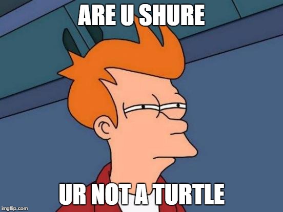 Futurama Fry Meme | ARE U SHURE; UR NOT A TURTLE | image tagged in memes,futurama fry | made w/ Imgflip meme maker