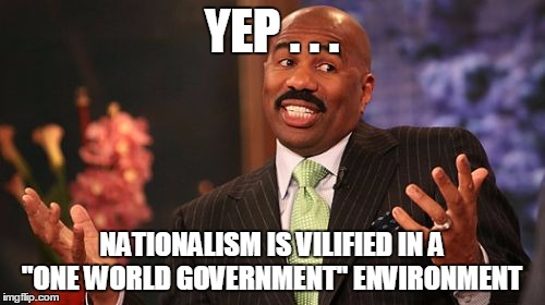 Steve Harvey Meme | YEP . . . NATIONALISM IS VILIFIED IN A "ONE WORLD GOVERNMENT" ENVIRONMENT | image tagged in memes,steve harvey | made w/ Imgflip meme maker