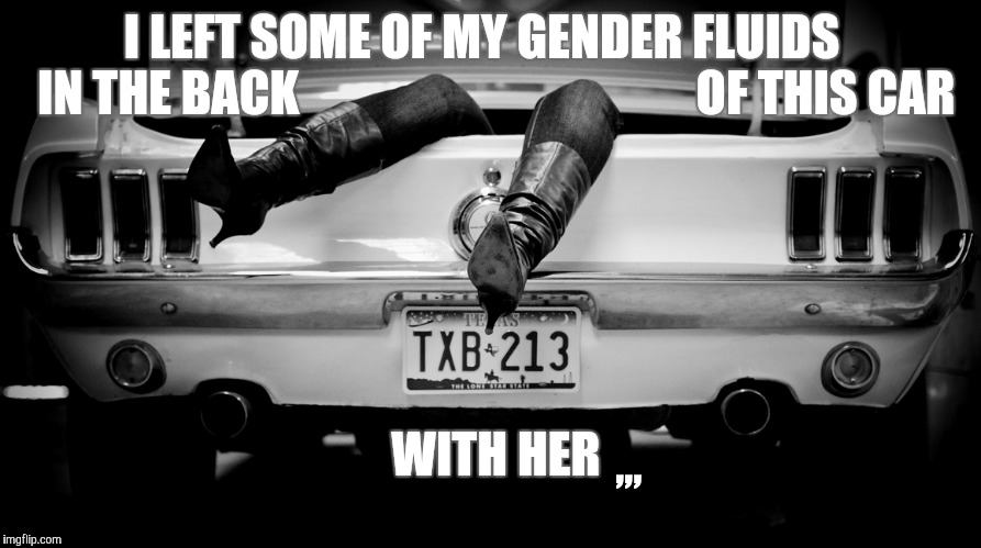 The Hooker in the Trunk of My Car | I LEFT SOME OF MY GENDER FLUIDS             IN THE BACK                                         OF THIS CAR; ,,, WITH HER | image tagged in the hooker in the trunk of my car | made w/ Imgflip meme maker