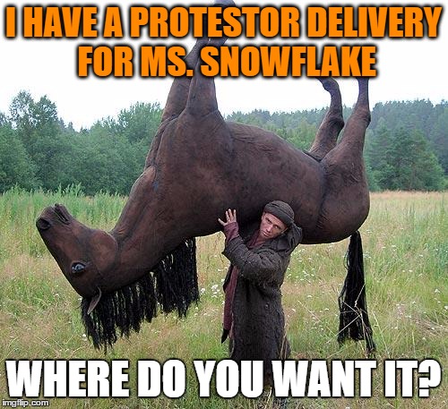 I HAVE A PROTESTOR DELIVERY FOR MS. SNOWFLAKE WHERE DO YOU WANT IT? | made w/ Imgflip meme maker