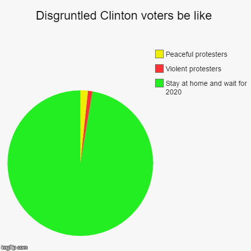 Really guys, not all Democrats are created equal! | image tagged in funny,pie charts,election 2016,hillary clinton | made w/ Imgflip chart maker