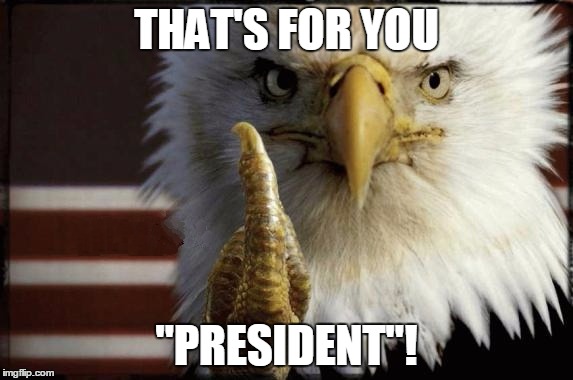 Eagle Middle Finger |  THAT'S FOR YOU; "PRESIDENT"! | image tagged in eagle middle finger,memes,trump,patriotic eagle,'murica,middle finger | made w/ Imgflip meme maker