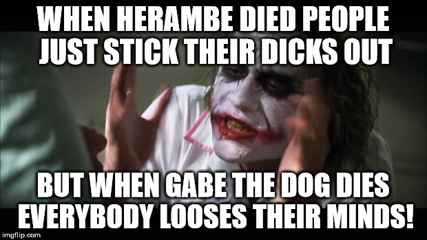 R.I.P Gabe The Dog | WHEN HERAMBE DIED PEOPLE JUST STICK THEIR DICKS OUT; BUT WHEN GABE THE DOG DIES EVERYBODY LOOSES THEIR MINDS! | image tagged in memes,and everybody loses their minds,herambe,gabe the dog,funny,sexy | made w/ Imgflip meme maker
