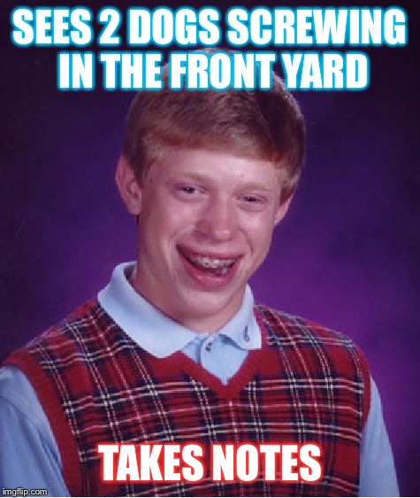 Bad Luck Brian Meme | SEES 2 DOGS SCREWING IN THE FRONT YARD; TAKES NOTES | image tagged in memes,bad luck brian | made w/ Imgflip meme maker