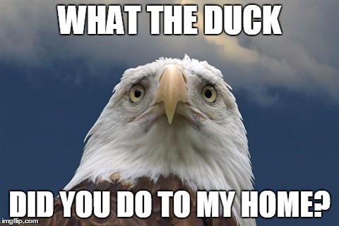 Sad American Eagle | WHAT THE DUCK; DID YOU DO TO MY HOME? | image tagged in sad american eagle,memes,trump,'murica,dude you're an idiot,meme | made w/ Imgflip meme maker