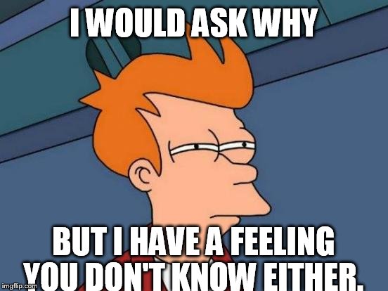 I WOULD ASK WHY BUT I HAVE A FEELING YOU DON'T KNOW EITHER. | image tagged in memes,futurama fry | made w/ Imgflip meme maker