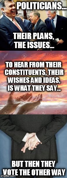 politics as usual | POLITICIANS... THEIR PLANS, THE ISSUES... TO HEAR FROM THEIR CONSTITUENTS, THEIR WISHES AND IDEAS, IS WHAT THEY SAY... BUT THEN THEY VOTE THE OTHER WAY | image tagged in politicians,government corruption,corruption,political meme,meme,politics | made w/ Imgflip meme maker