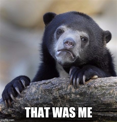 Confession Bear Meme | THAT WAS ME | image tagged in memes,confession bear | made w/ Imgflip meme maker