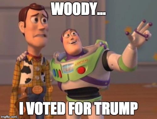 X, X Everywhere | WOODY... I VOTED FOR TRUMP | image tagged in memes,x x everywhere | made w/ Imgflip meme maker