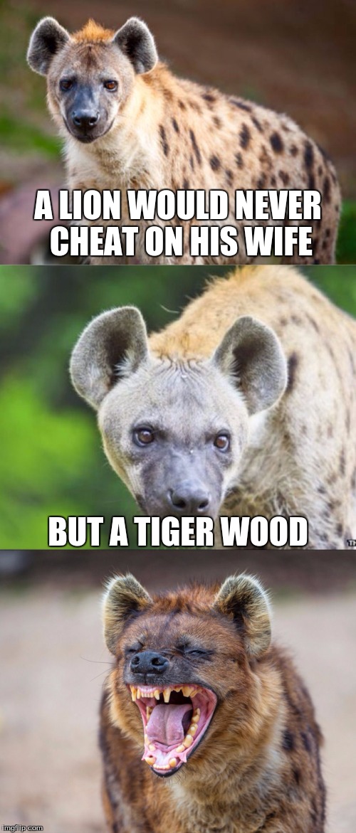 Bad Pun Hyena | A LION WOULD NEVER CHEAT ON HIS WIFE; BUT A TIGER WOOD | image tagged in bad pun hyena | made w/ Imgflip meme maker
