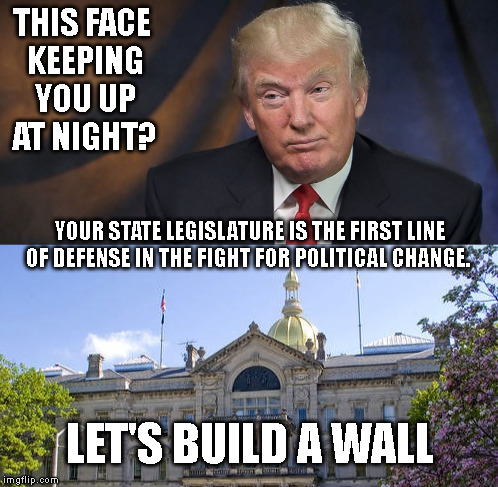 I will build a great wall -- and nobody builds walls better than me, believe me --and I'll build them very inexpensively. | THIS FACE KEEPING YOU UP AT NIGHT? YOUR STATE LEGISLATURE IS THE FIRST LINE OF DEFENSE IN THE FIGHT FOR POLITICAL CHANGE. LET'S BUILD A WALL | image tagged in donald trump,american politics,trump wall,build a wall | made w/ Imgflip meme maker