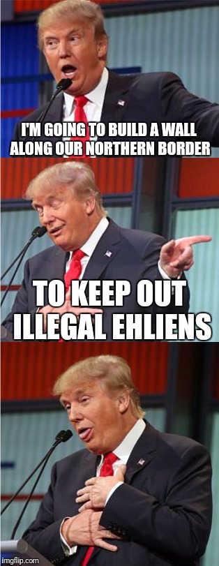 I'm making the same pun two different ways. Let me know which is better. | I'M GOING TO BUILD A WALL ALONG OUR NORTHERN BORDER; TO KEEP OUT ILLEGAL EHLIENS | image tagged in bad pun trump,bad pun,puns,memes,funny memes,skipp | made w/ Imgflip meme maker