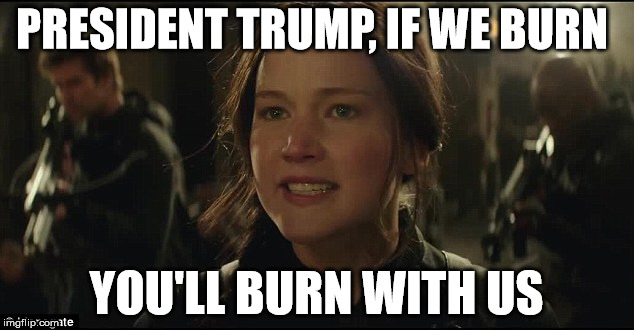 Hunger Games | PRESIDENT TRUMP, IF WE BURN; YOU'LL BURN WITH US | image tagged in anti-trump | made w/ Imgflip meme maker