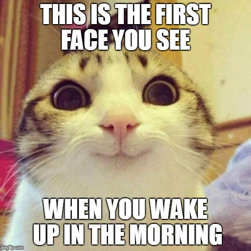 Smiling Cat Meme | THIS IS THE FIRST FACE YOU SEE; WHEN YOU WAKE UP IN THE MORNING | image tagged in memes,smiling cat | made w/ Imgflip meme maker