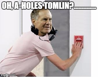 Oh A-Holes Tomlin? | OH, A-HOLES TOMLIN?.............. | image tagged in patriots,new england patriots,pittsburgh steelers,afc championship game | made w/ Imgflip meme maker