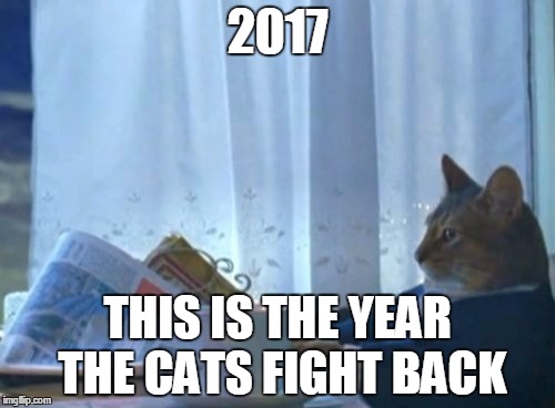 I Should Buy A Boat Cat Meme | 2017; THIS IS THE YEAR THE CATS FIGHT BACK | image tagged in memes,i should buy a boat cat | made w/ Imgflip meme maker