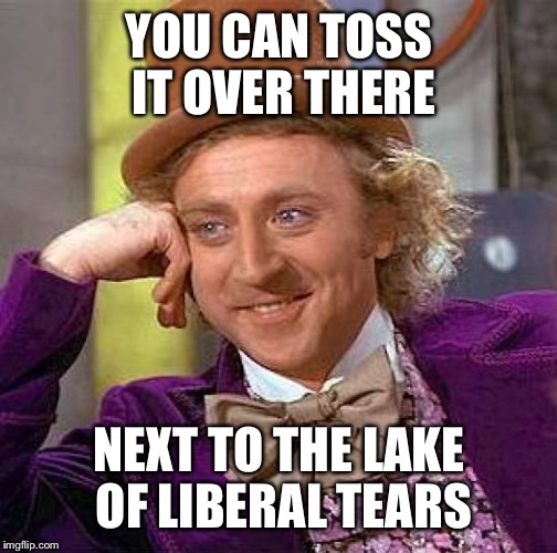 Creepy Condescending Wonka Meme | YOU CAN TOSS IT OVER THERE NEXT TO THE LAKE OF LIBERAL TEARS | image tagged in memes,creepy condescending wonka | made w/ Imgflip meme maker