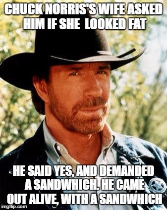 Chuck Norris | CHUCK NORRIS'S WIFE ASKED HIM IF SHE  LOOKED FAT; HE SAID YES, AND DEMANDED A SANDWHICH. HE CAME OUT ALIVE, WITH A SANDWHICH | image tagged in memes,chuck norris | made w/ Imgflip meme maker