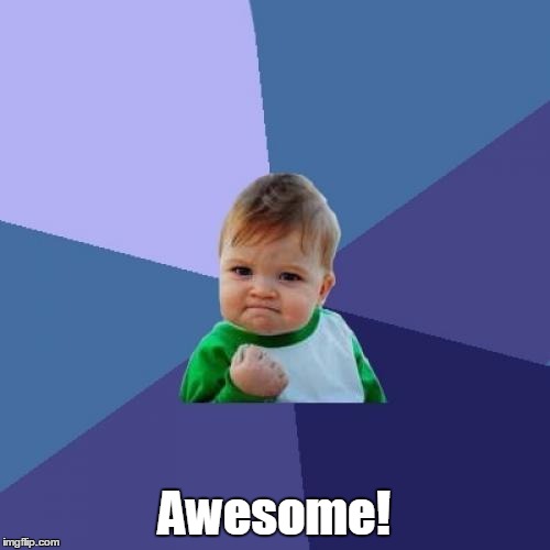 Success Kid Meme | Awesome! | image tagged in memes,success kid | made w/ Imgflip meme maker