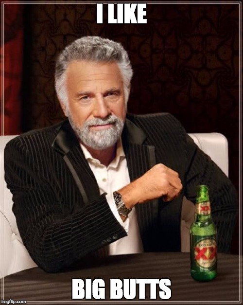 The Most Interesting Man In The World | I LIKE; BIG BUTTS | image tagged in memes,the most interesting man in the world | made w/ Imgflip meme maker