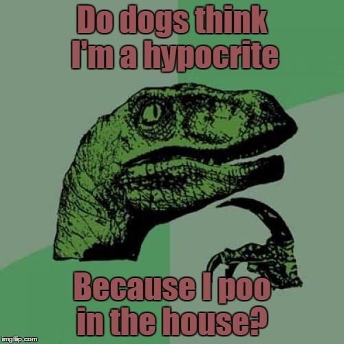 Philosoraptor | Do dogs think I'm a hypocrite; Because I poo in the house? | image tagged in memes,philosoraptor,animals,dogs,trhtimmy | made w/ Imgflip meme maker