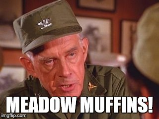 MEADOW MUFFINS! | made w/ Imgflip meme maker