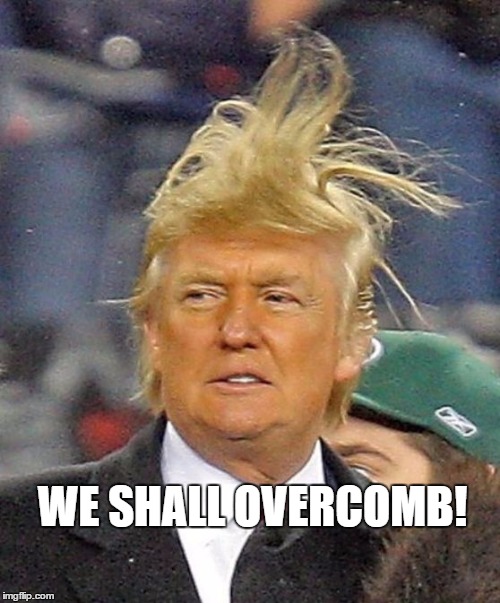 Donald Trumph hair | WE SHALL OVERCOMB! | image tagged in donald trumph hair | made w/ Imgflip meme maker