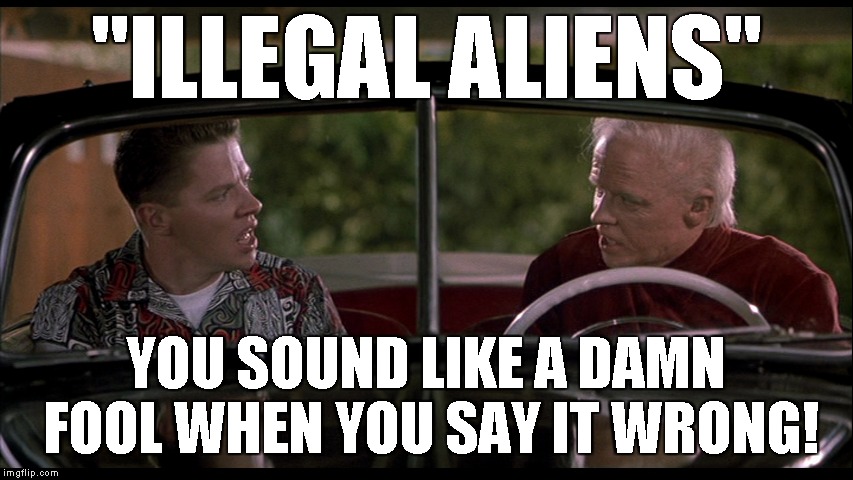 Just sayin'... | "ILLEGAL ALIENS"; YOU SOUND LIKE A DAMN FOOL WHEN YOU SAY IT WRONG! | image tagged in memes,illegal aliens | made w/ Imgflip meme maker