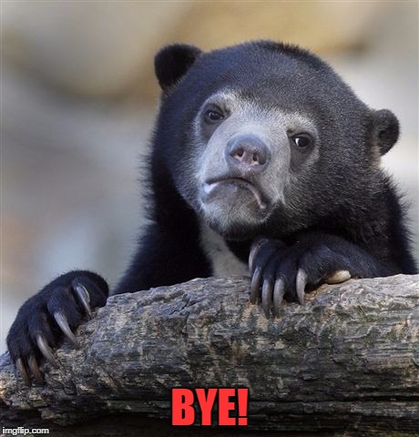 Confession Bear Meme | BYE! | image tagged in memes,confession bear | made w/ Imgflip meme maker