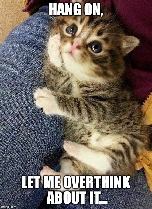 Thinking cat | HANG ON, LET ME OVERTHINK ABOUT IT... | image tagged in thinking cat | made w/ Imgflip meme maker