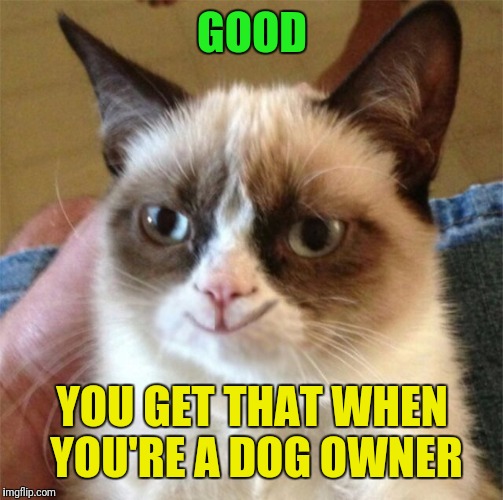 GOOD YOU GET THAT WHEN YOU'RE A DOG OWNER | made w/ Imgflip meme maker