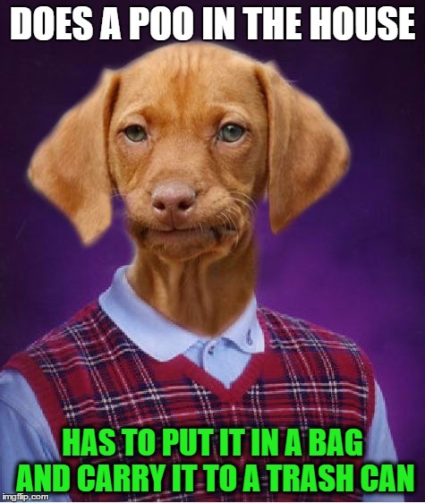 DOES A POO IN THE HOUSE HAS TO PUT IT IN A BAG AND CARRY IT TO A TRASH CAN | made w/ Imgflip meme maker