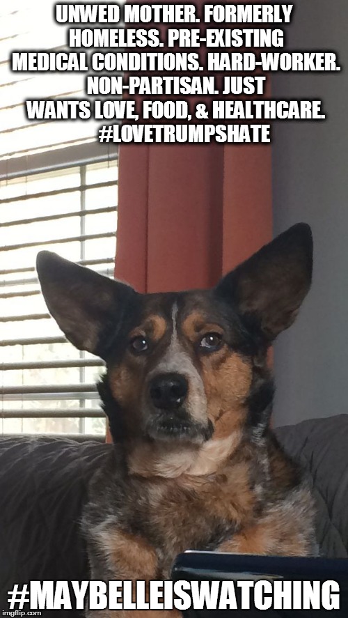 Maybelle is Watching | UNWED MOTHER. FORMERLY HOMELESS. PRE-EXISTING MEDICAL CONDITIONS. HARD-WORKER. NON-PARTISAN. JUST WANTS LOVE, FOOD, & HEALTHCARE. 



#LOVETRUMPSHATE; #MAYBELLEISWATCHING | image tagged in maybelle,dogs,donald trump,love trumps hate | made w/ Imgflip meme maker