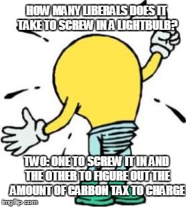 HOW MANY LIBERALS DOES IT TAKE TO SCREW IN A LIGHTBULB? TWO: ONE TO SCREW IT IN AND THE OTHER TO FIGURE OUT THE AMOUNT OF CARBON TAX TO CHARGE | image tagged in liberals,light bulb | made w/ Imgflip meme maker