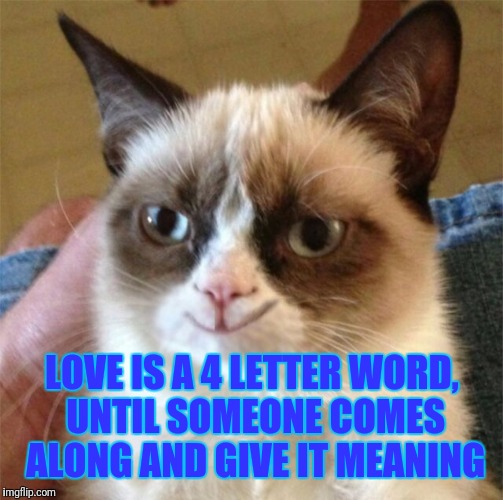 LOVE IS A 4 LETTER WORD, UNTIL SOMEONE COMES ALONG AND GIVE IT MEANING | made w/ Imgflip meme maker