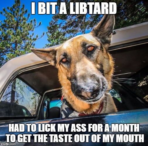 libtard meme  | I BIT A LIBTARD; HAD TO LICK MY ASS FOR A MONTH TO GET THE TASTE OUT OF MY MOUTH | image tagged in political meme | made w/ Imgflip meme maker