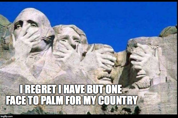 Mount Rushmore Face Palm |  I REGRET I HAVE BUT ONE FACE TO PALM FOR MY COUNTRY | image tagged in mount rushmore,presidents,face palm,bobcrespodotcom,country | made w/ Imgflip meme maker