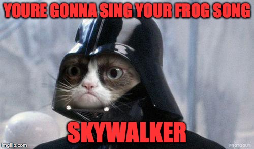 Grumpy Cat Star Wars Meme | YOURE GONNA SING YOUR FROG SONG; SKYWALKER | image tagged in memes,grumpy cat star wars,grumpy cat | made w/ Imgflip meme maker