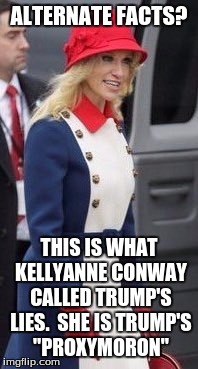 Kelly Anne Conway | ALTERNATE FACTS? THIS IS WHAT KELLYANNE CONWAY CALLED TRUMP'S LIES.  SHE IS TRUMP'S "PROXYMORON" | image tagged in kelly anne conway | made w/ Imgflip meme maker