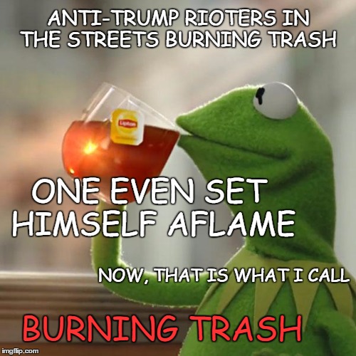 But That's None Of My Business | ANTI-TRUMP RIOTERS IN THE STREETS BURNING TRASH; ONE EVEN SET HIMSELF AFLAME; NOW, THAT IS WHAT I CALL; BURNING TRASH | image tagged in memes,but thats none of my business,kermit the frog | made w/ Imgflip meme maker