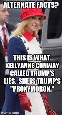 Trump's ProxyMoron | ALTERNATE FACTS? THIS IS WHAT KELLYANNE CONWAY CALLED TRUMP'S LIES.  SHE IS TRUMP'S "PROXYMORON." | image tagged in kelly anne conway trump lie alternate facts | made w/ Imgflip meme maker