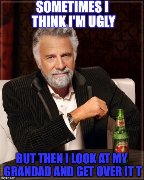 The Most Interesting Man In The World Meme | SOMETIMES I THINK I'M UGLY; BUT THEN I LOOK AT MY GRANDAD AND GET OVER IT
T | image tagged in memes,the most interesting man in the world | made w/ Imgflip meme maker