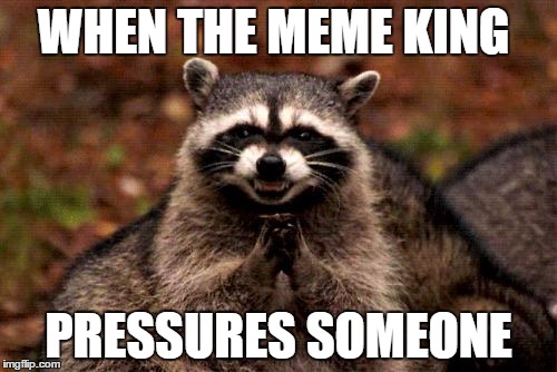 Evil Plotting Raccoon | WHEN THE MEME KING; PRESSURES SOMEONE | image tagged in memes,evil plotting raccoon | made w/ Imgflip meme maker