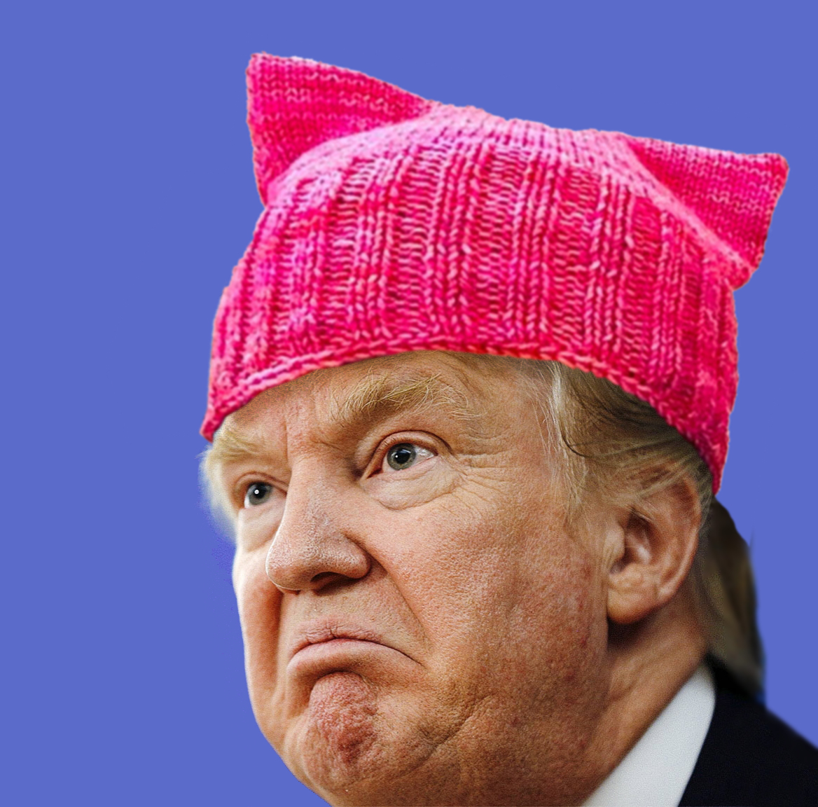 taxa Ideelt Utallige Pussy Hat Trump Blank Template - Imgflip