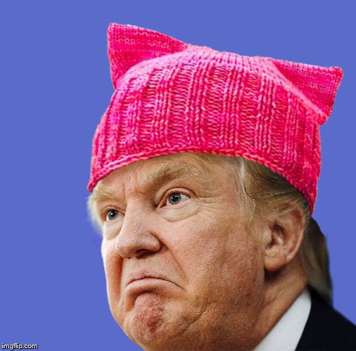 Pussy Hat Donald Trump | image tagged in pussy hat trump,pink,pussy,donald trump | made w/ Imgflip meme maker