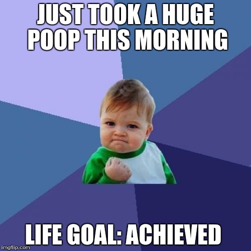 Success Kid Meme | JUST TOOK A HUGE POOP THIS MORNING; LIFE GOAL: ACHIEVED | image tagged in memes,success kid | made w/ Imgflip meme maker